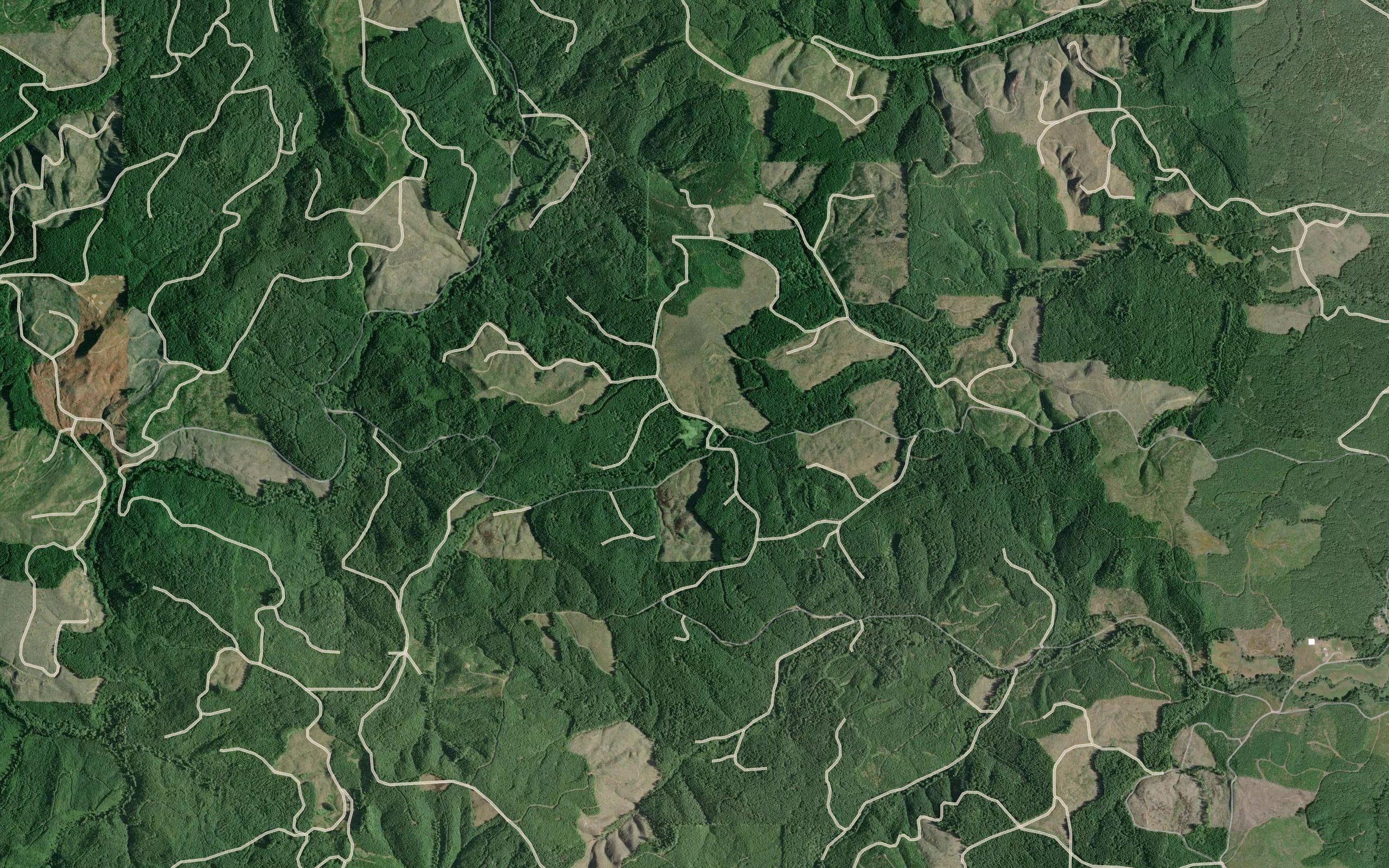 Kauppi Lake