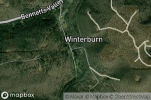 South Branch Bennett Branch