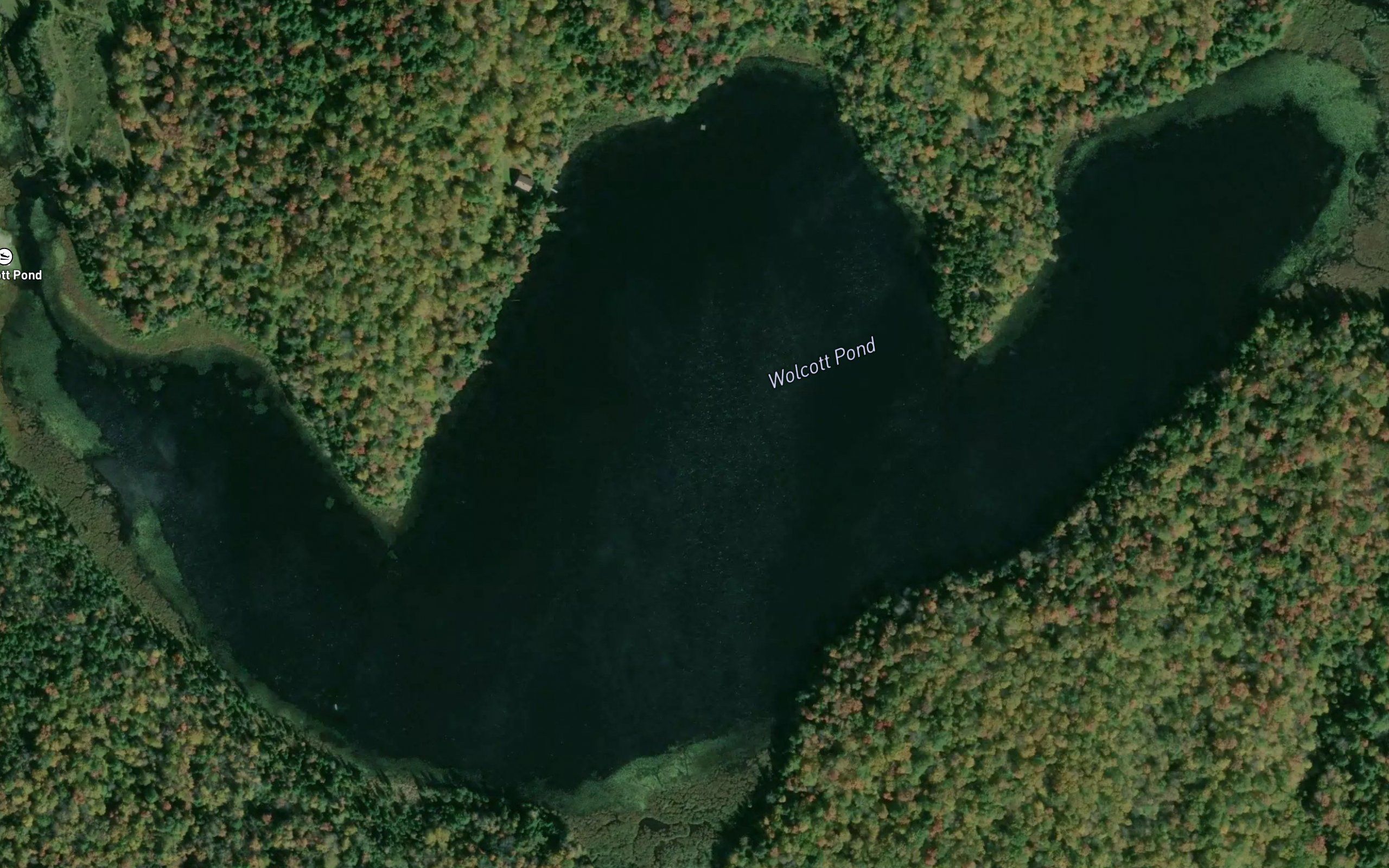 Wolcott Pond