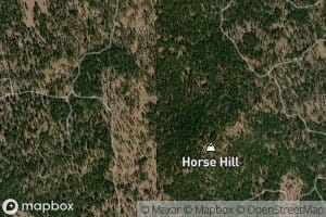 Horse Hill Wildlife Guzzler