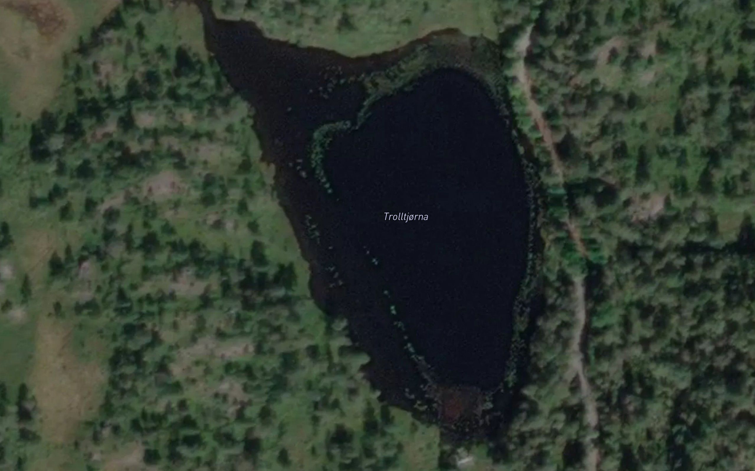 Trolltjorna