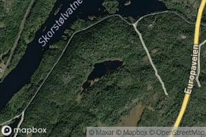 Skjertjerna