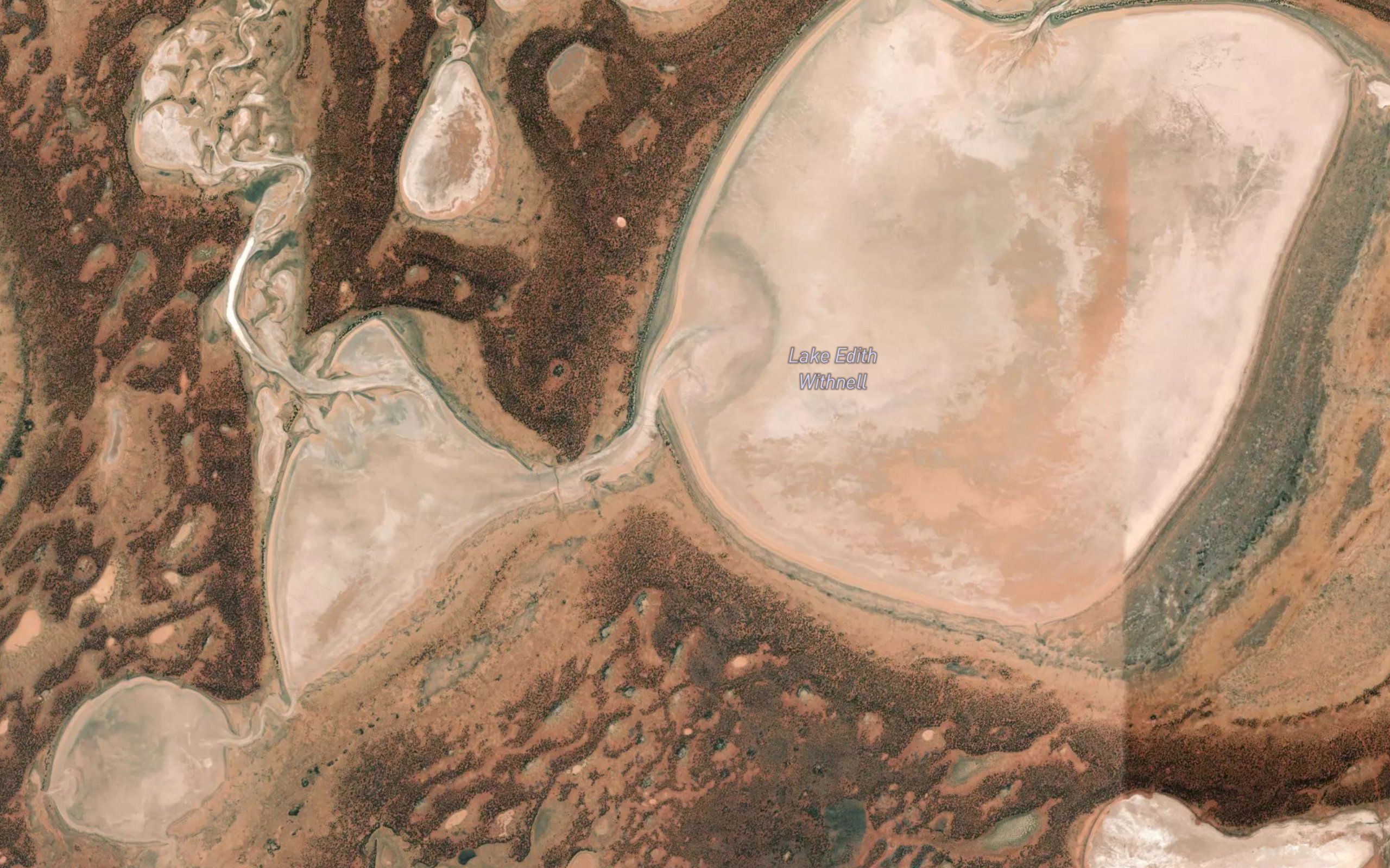 Lake Edith Withnell