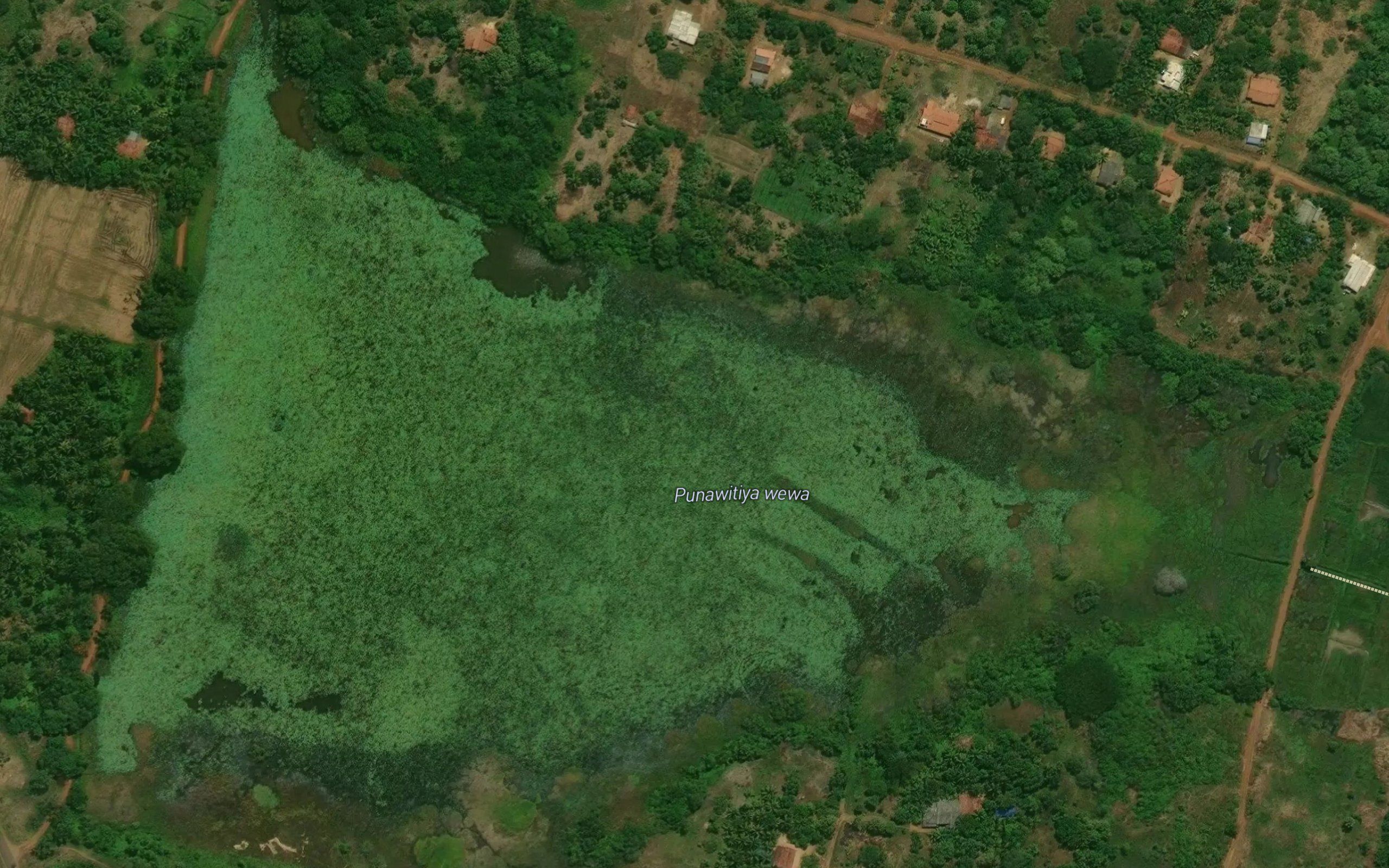 Punawitiya Wewa
