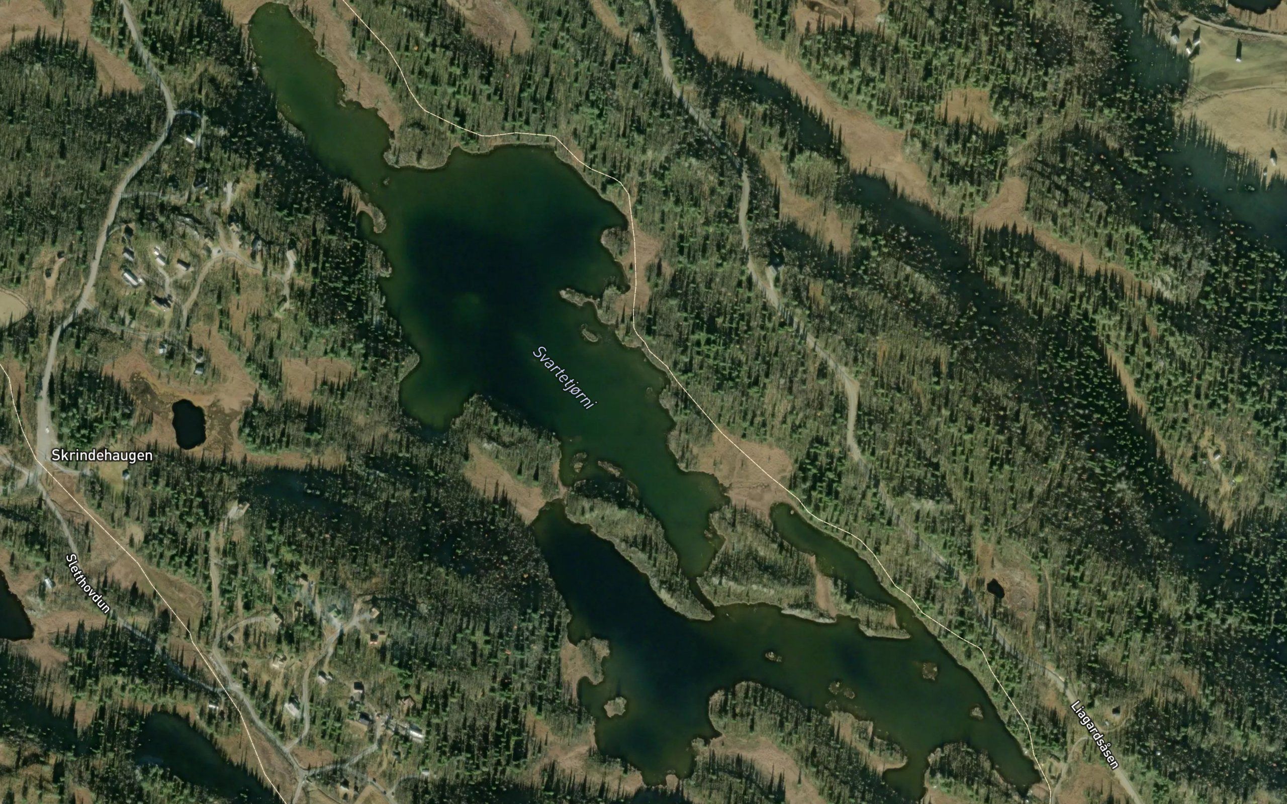 Svartetjorni