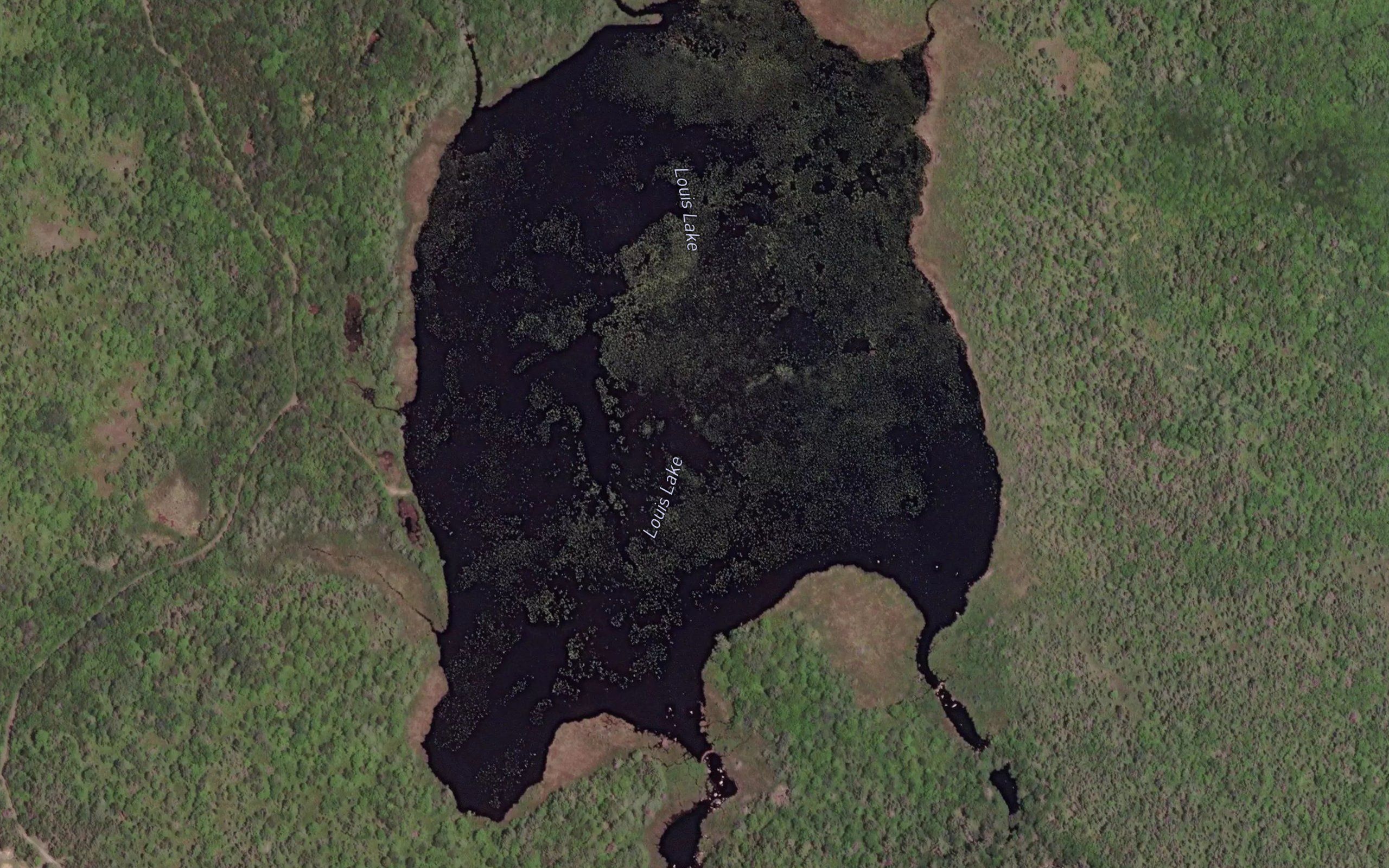 Louis Lake