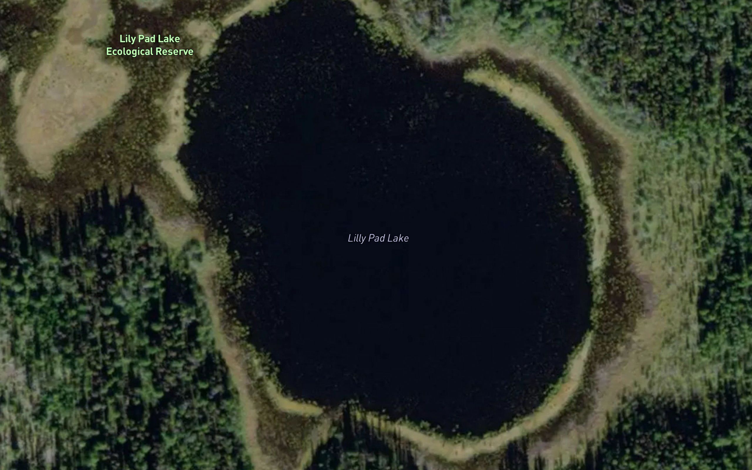 Lily Pad Lake