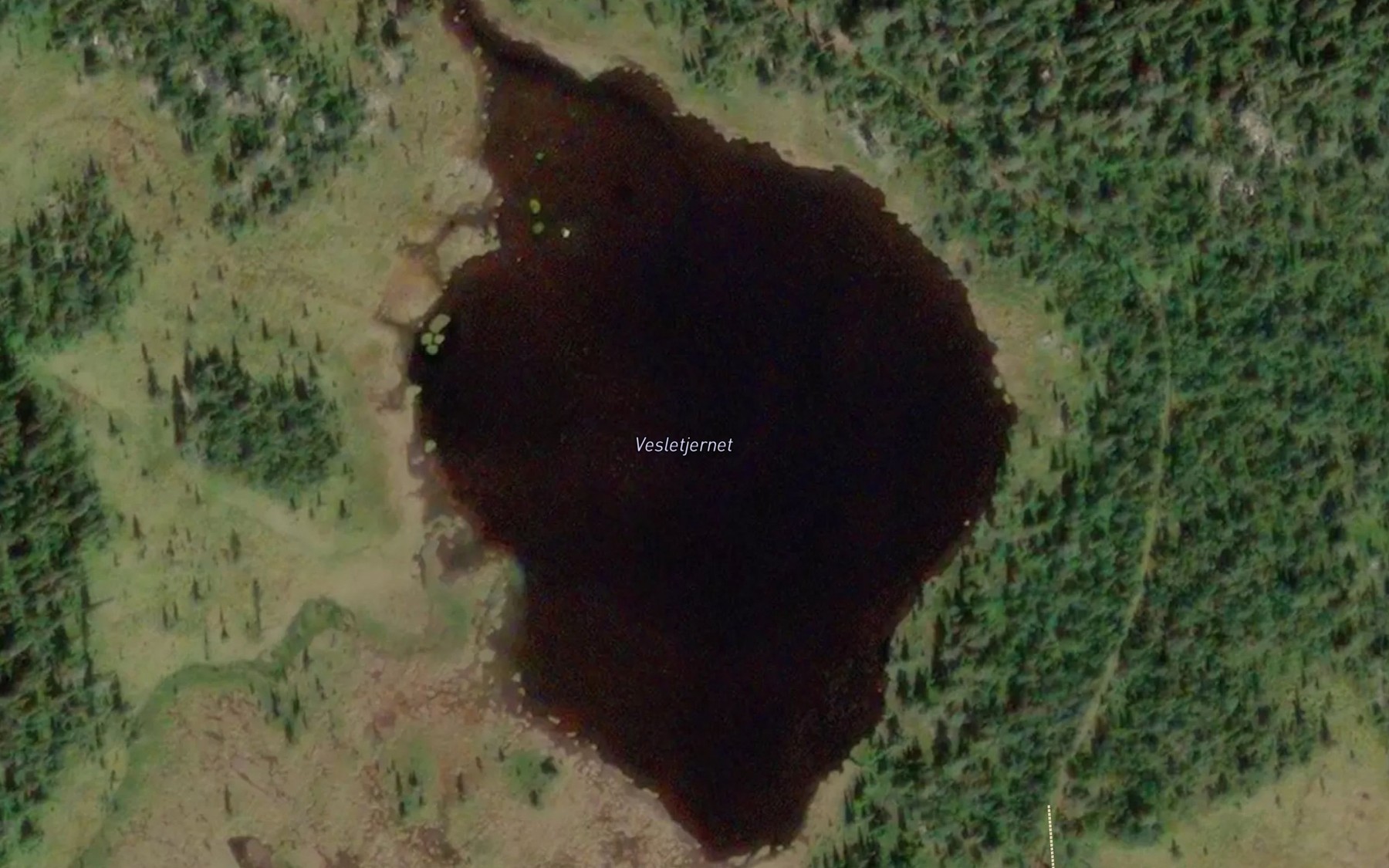 Satellite map of the Vesletjern