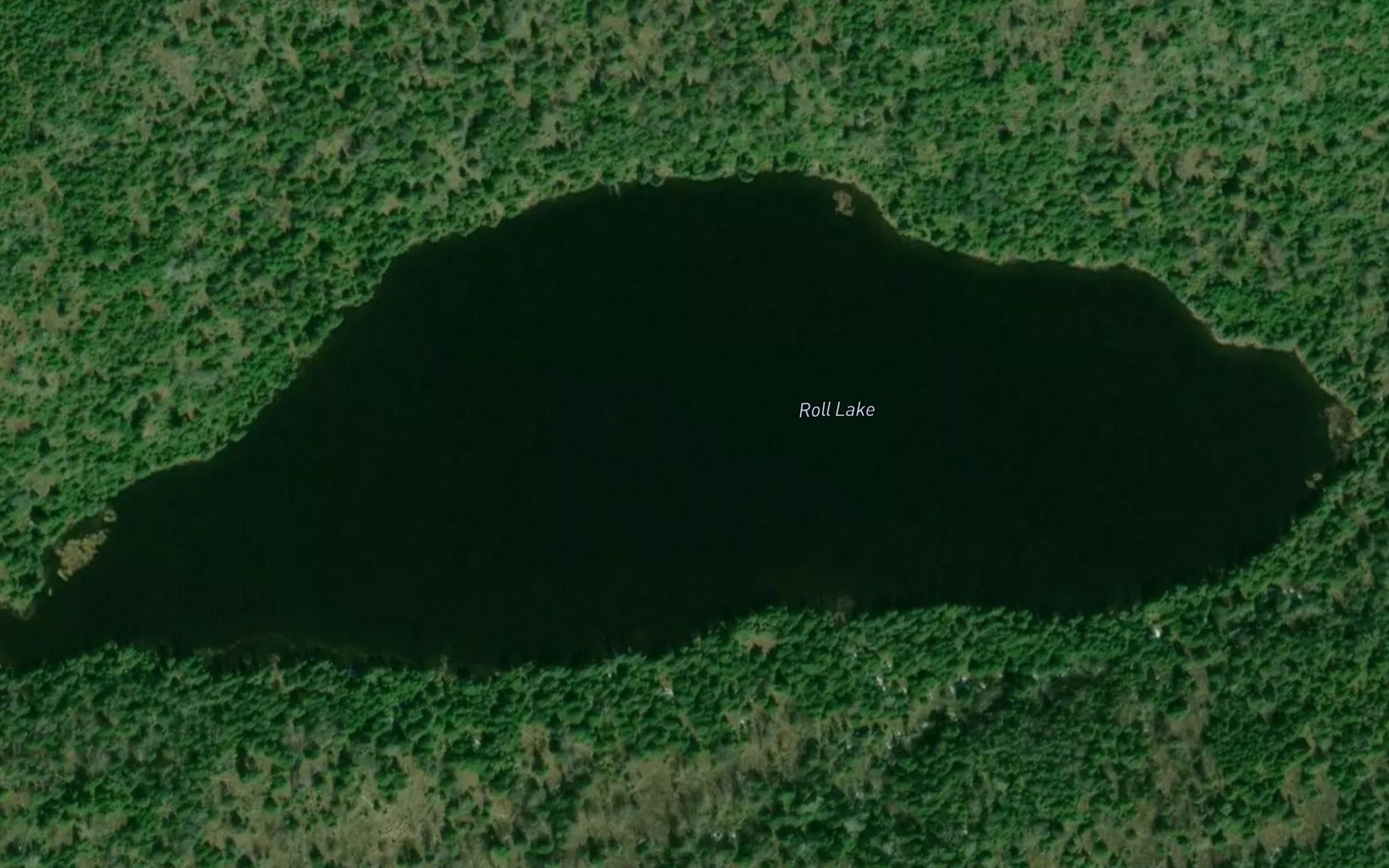 Satellite map of the Roll Lake