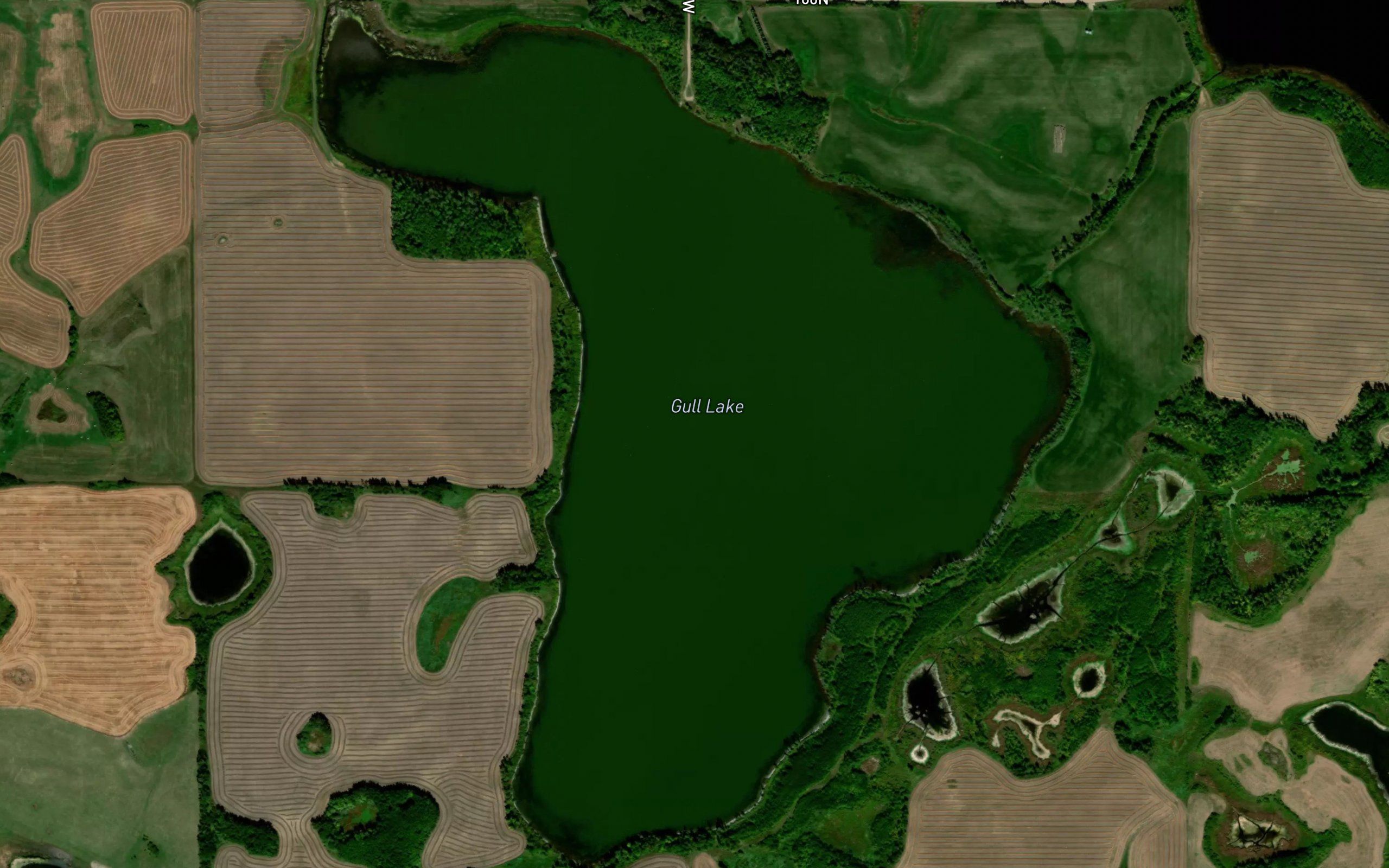 Gull Lake