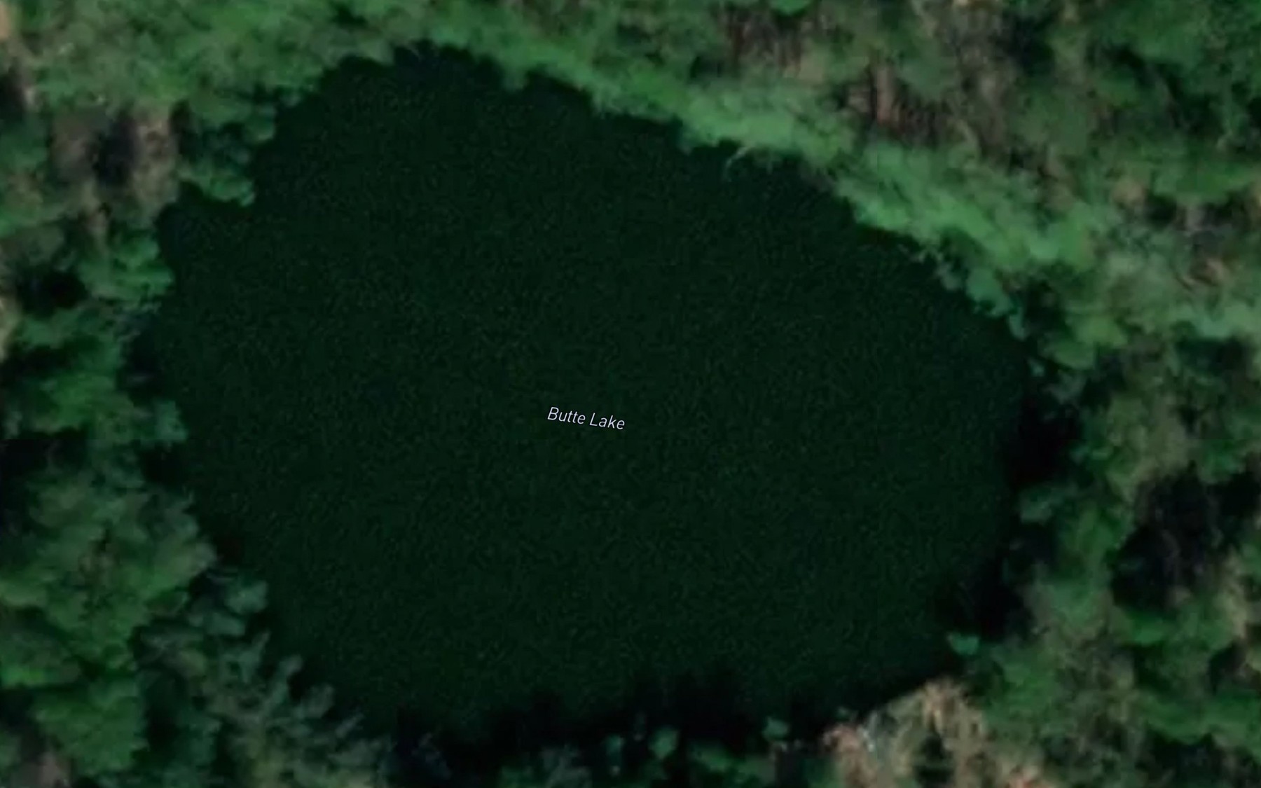 Satellite map of the Butte Lake