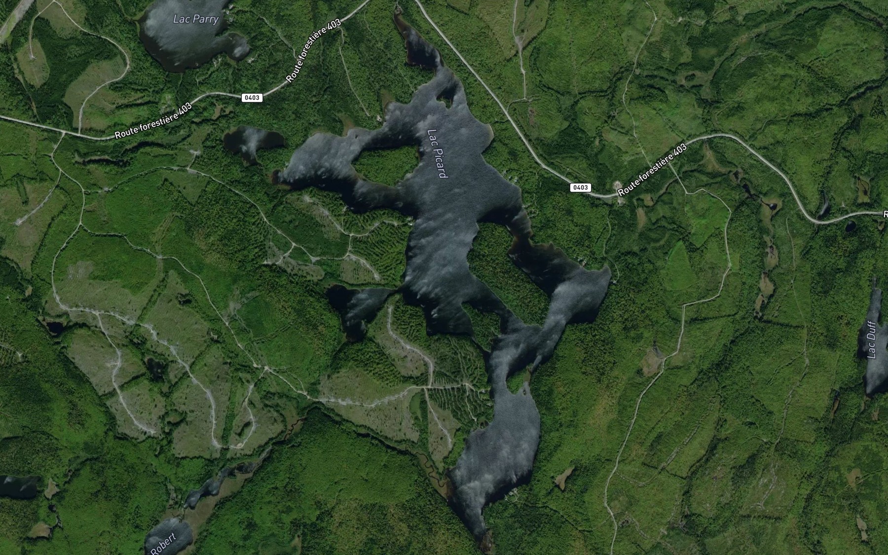 Satellite map of the Lac Picard