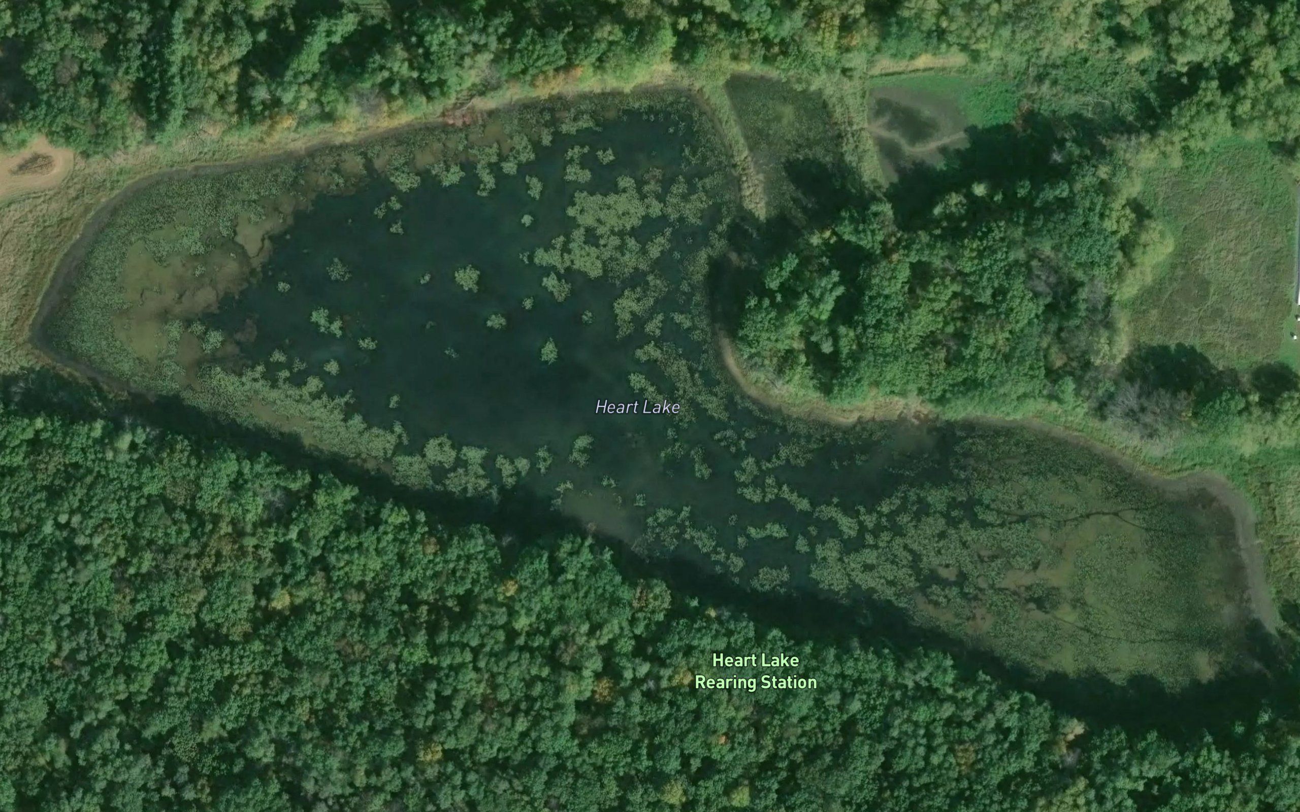 Heart Lake
