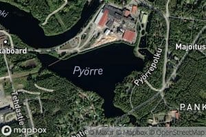 Pyorre