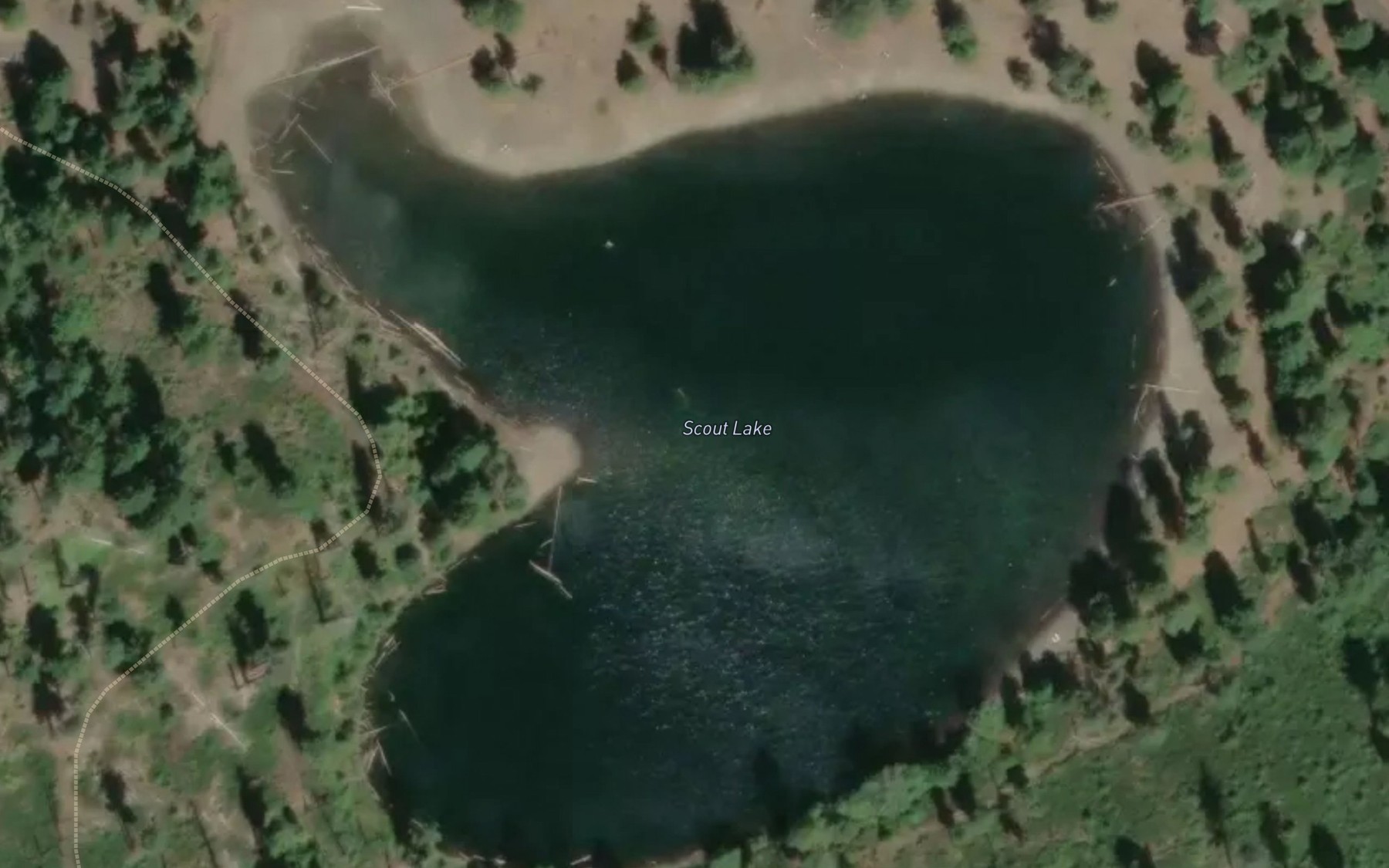 Satellite map of the Scout Lake