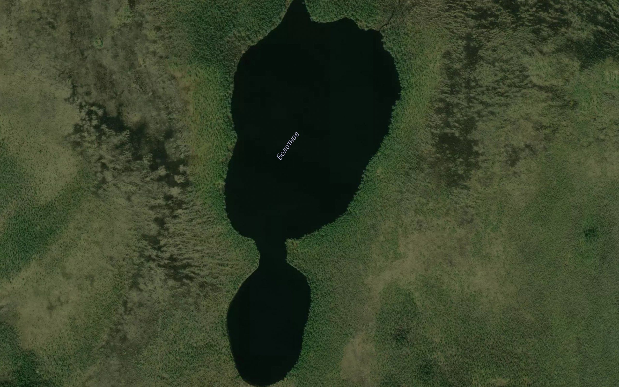 Ozero Bolotnoye