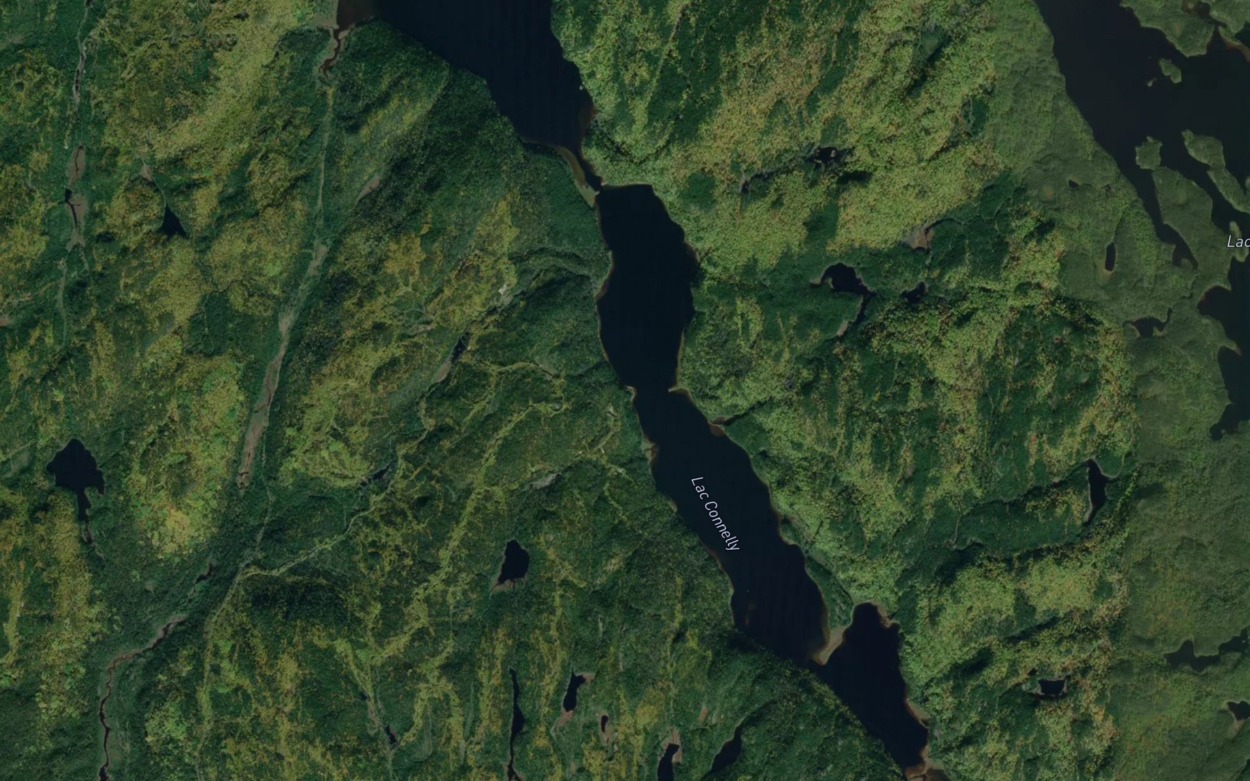Satellite map of the Lac Connelly