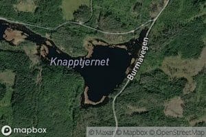 Knapptjernet