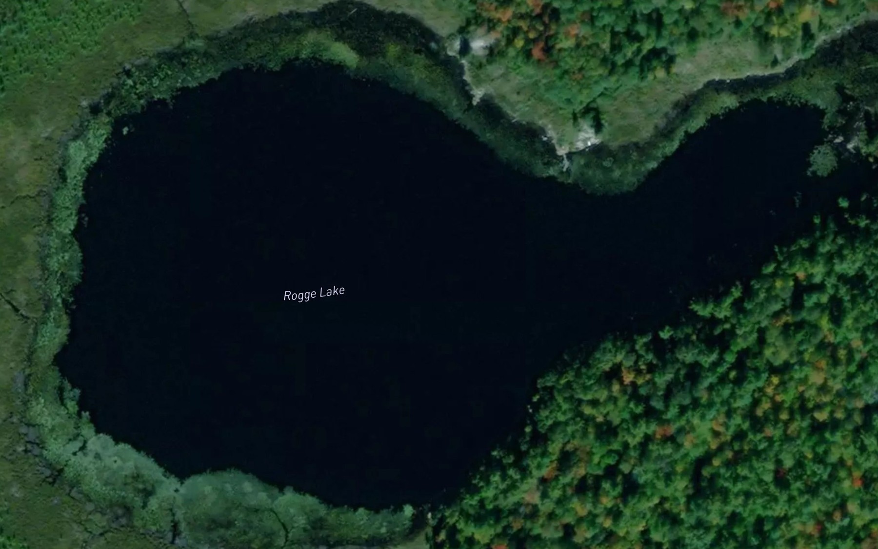 Satellite map of the Rogge Lake