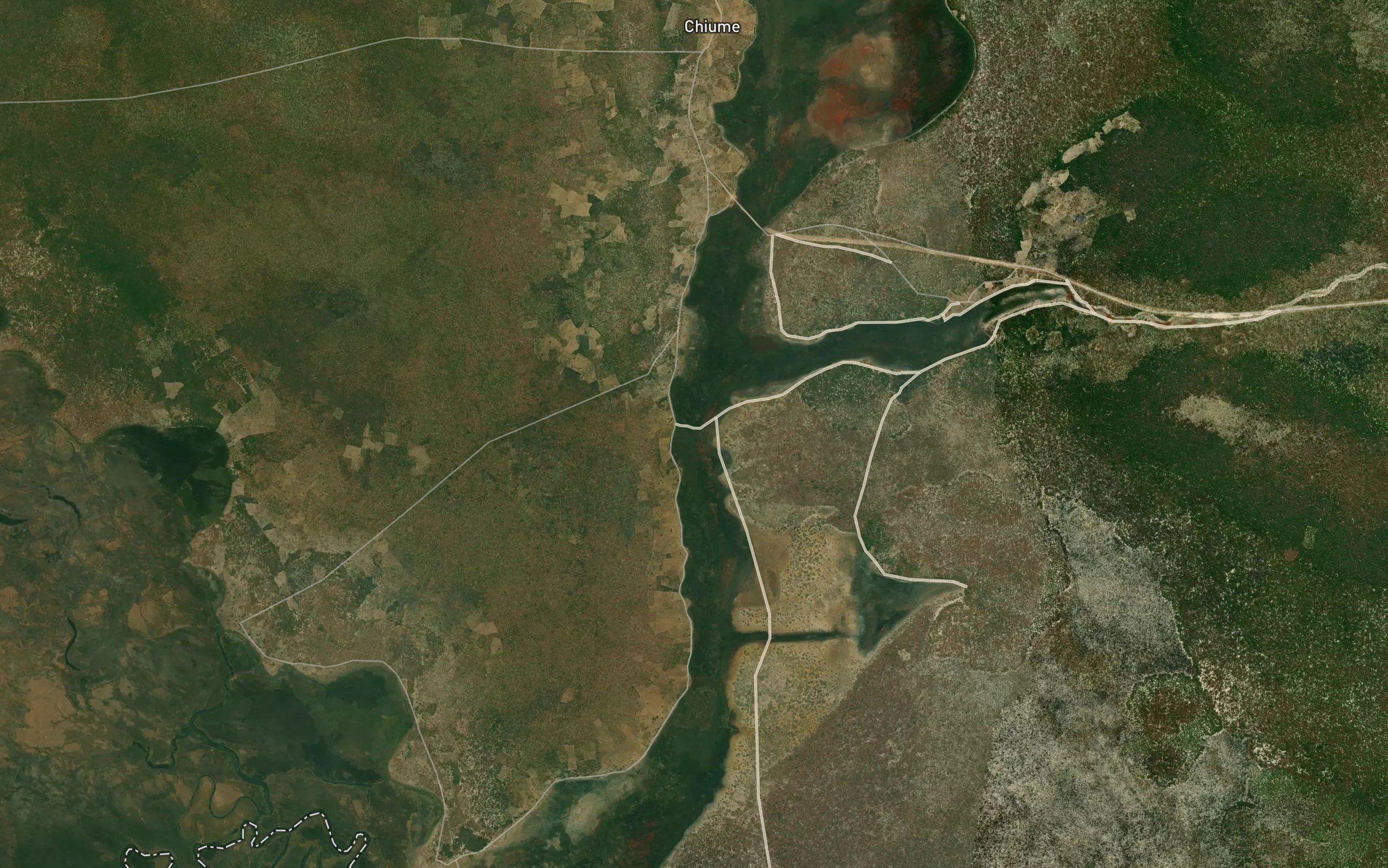 Ngongue