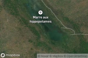 Mare aux Hippopotames