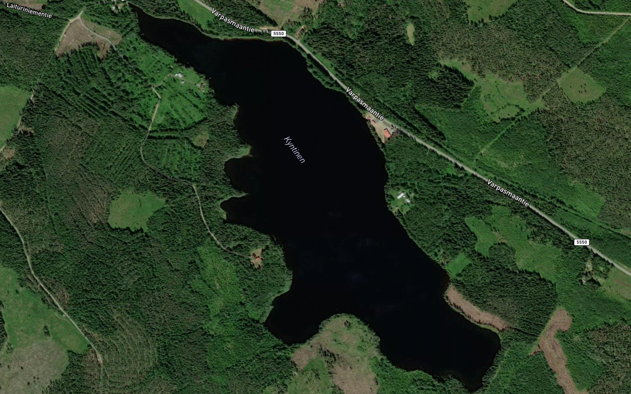 Kyntinen