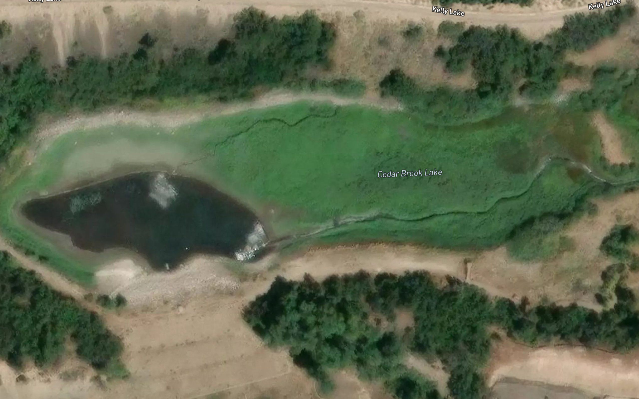 Cedar Brook Lake