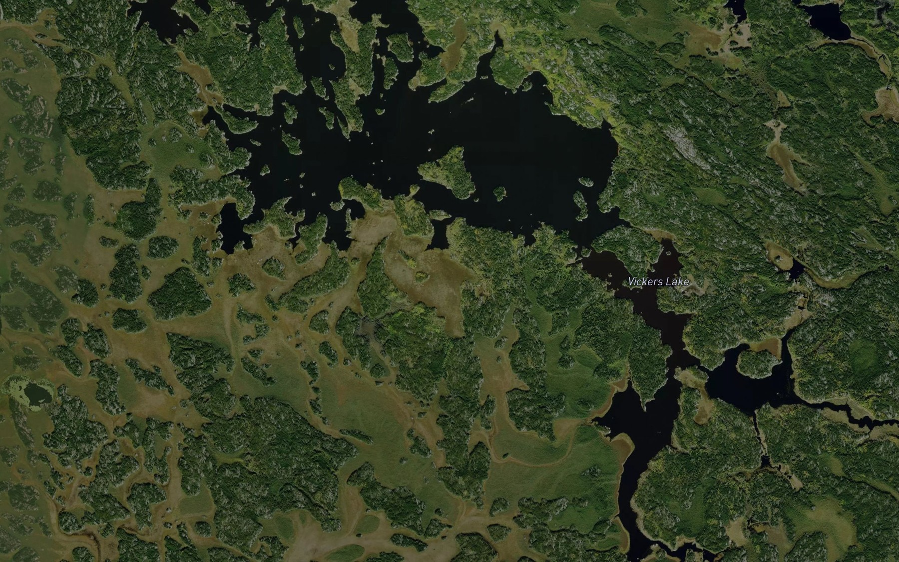 Satellite map of the Vickers Lake
