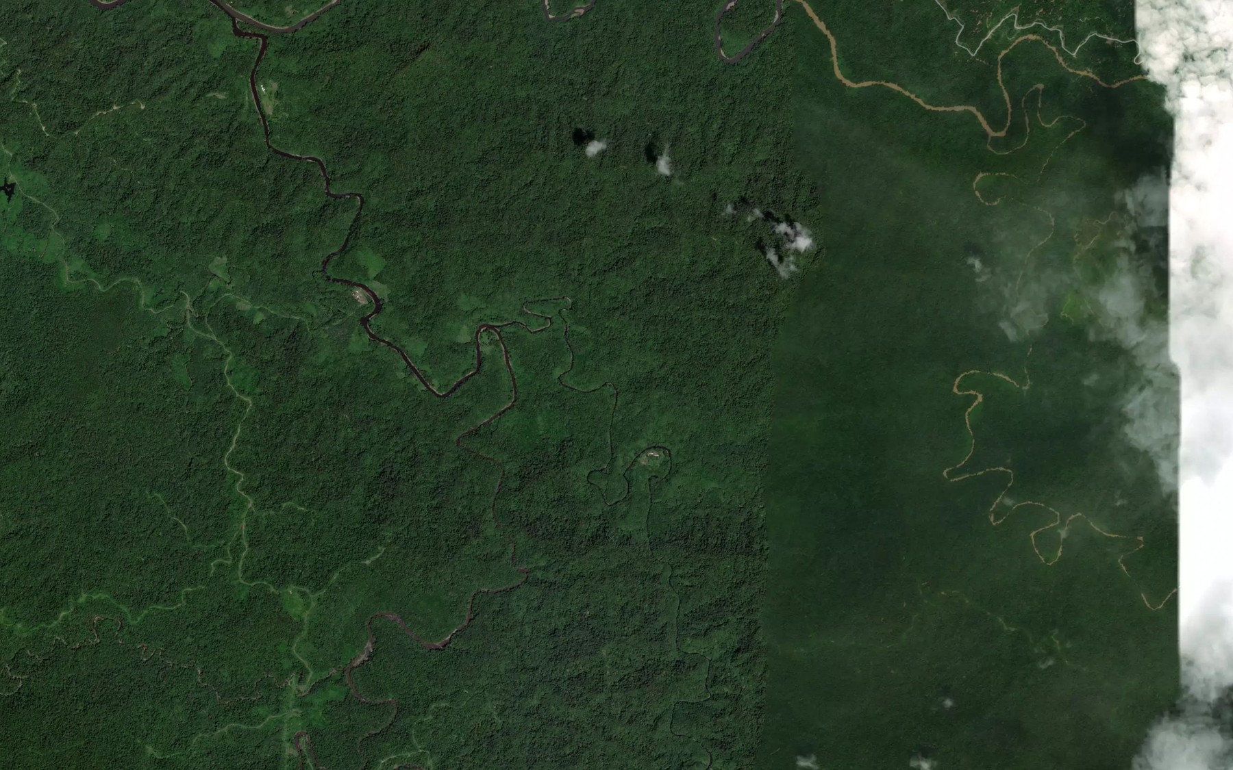 Satellite map of the Sungai Pugong