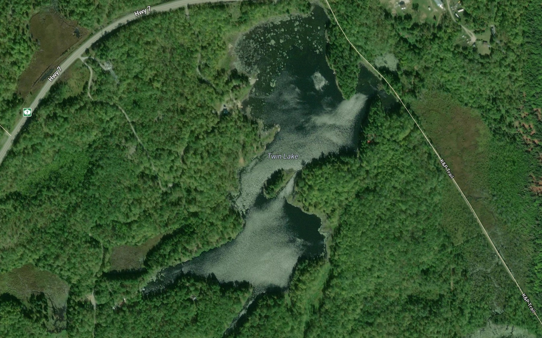 Satellite map of the Twin Lake