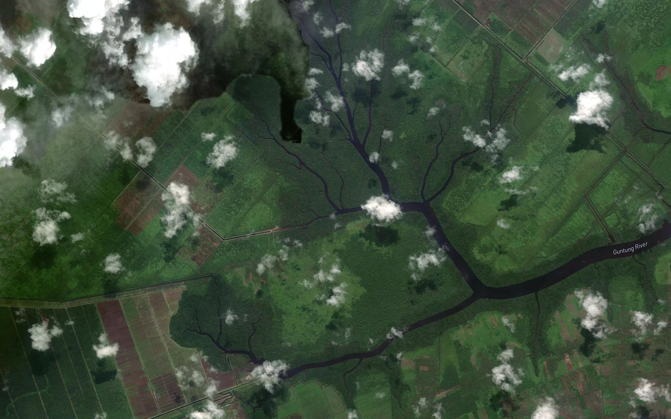 Sungai Saka Rotan