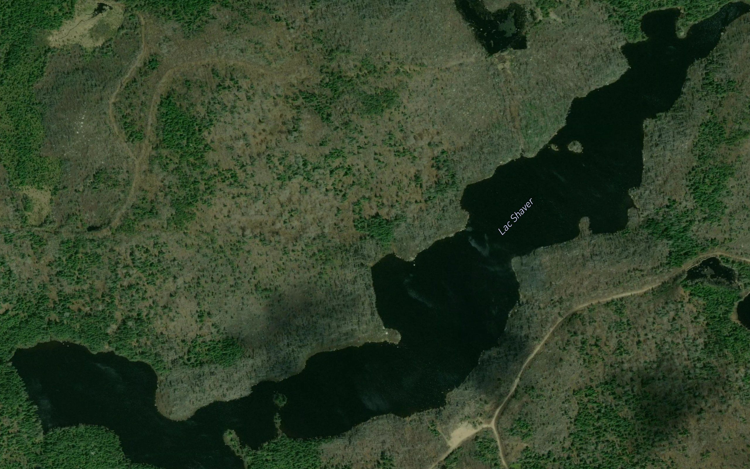 Lac Shaver