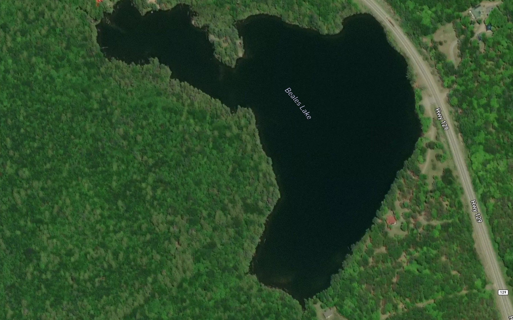 Satellite map of the Beales Lake