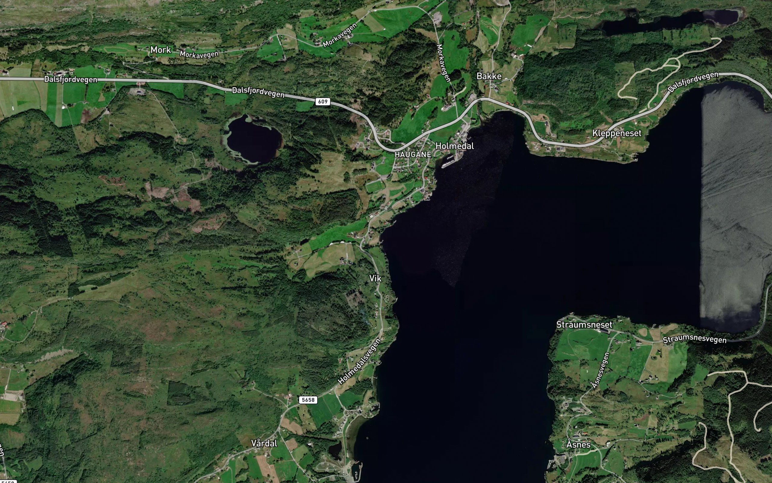 Vikavika