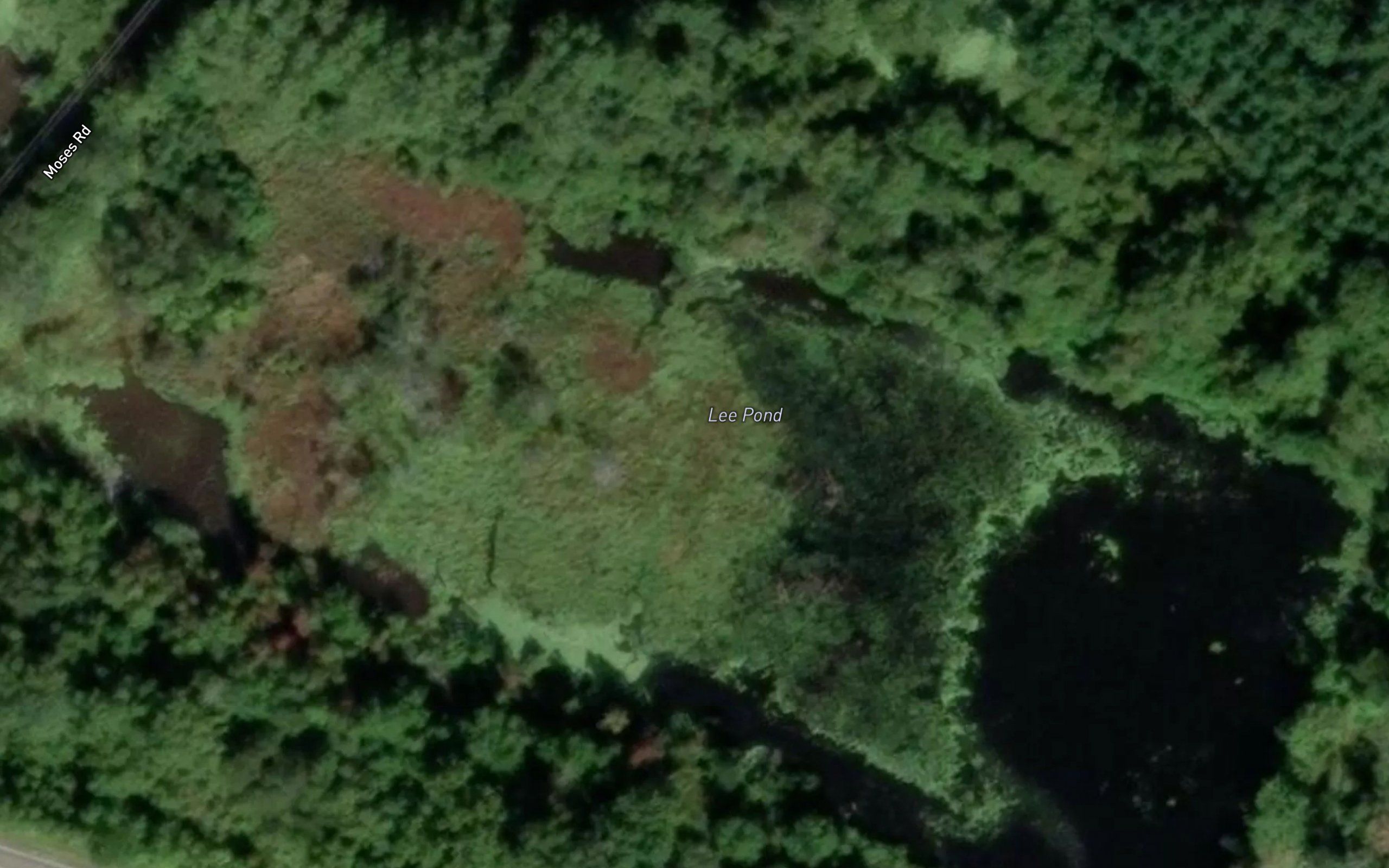 Lee Pond