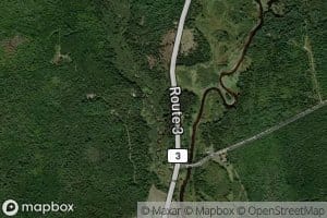 Upper Trout Brook