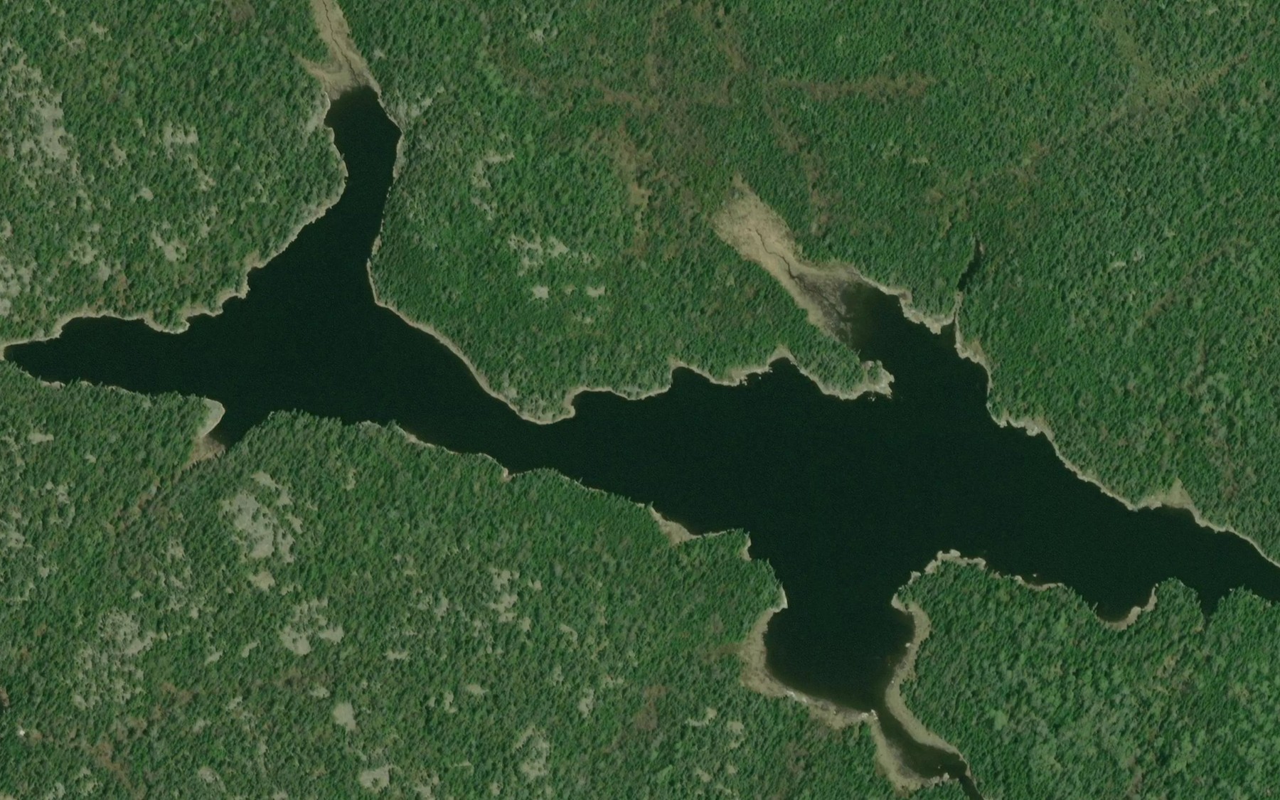 Satellite map of the Caribou Lake
