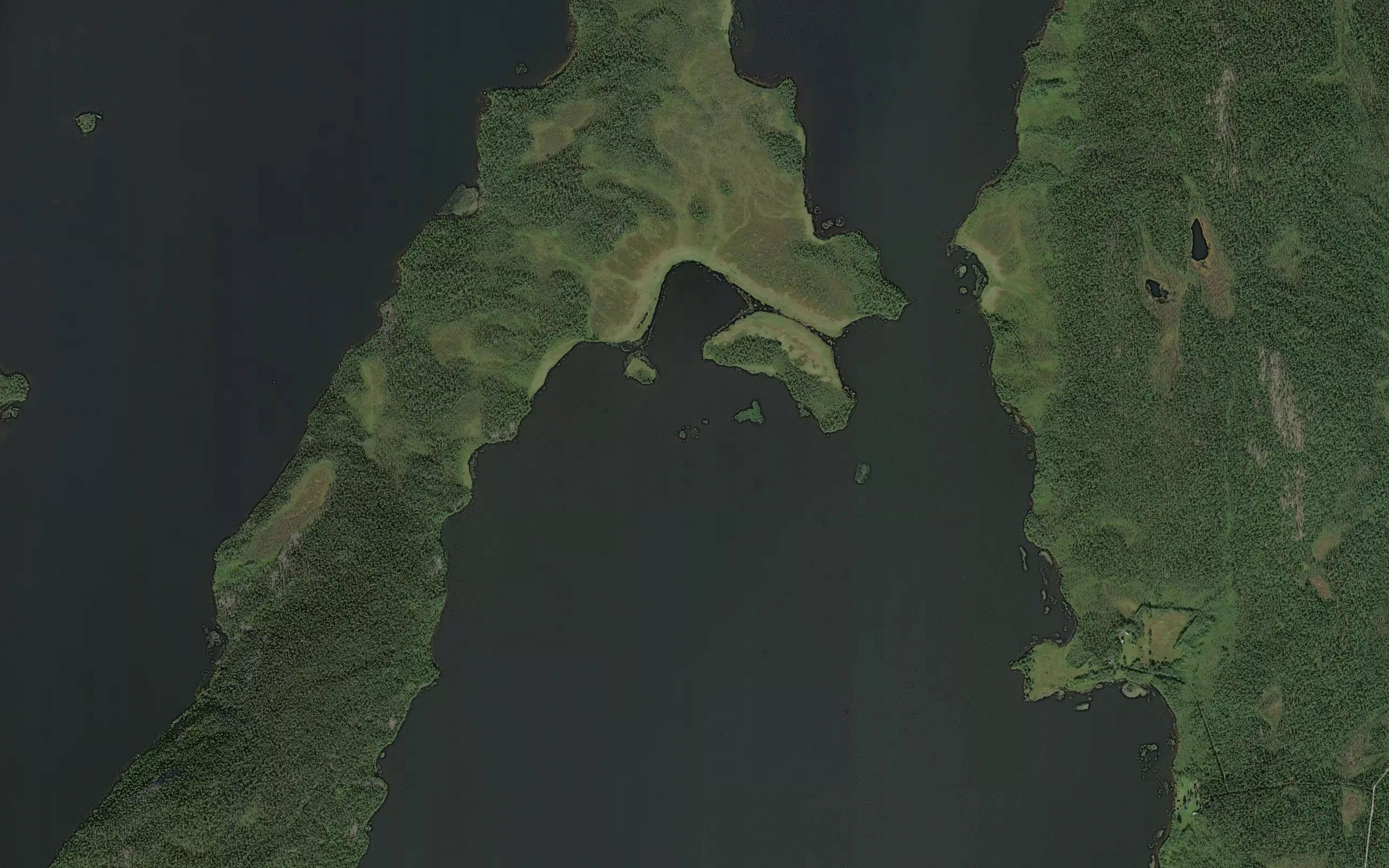 Ryengholmen