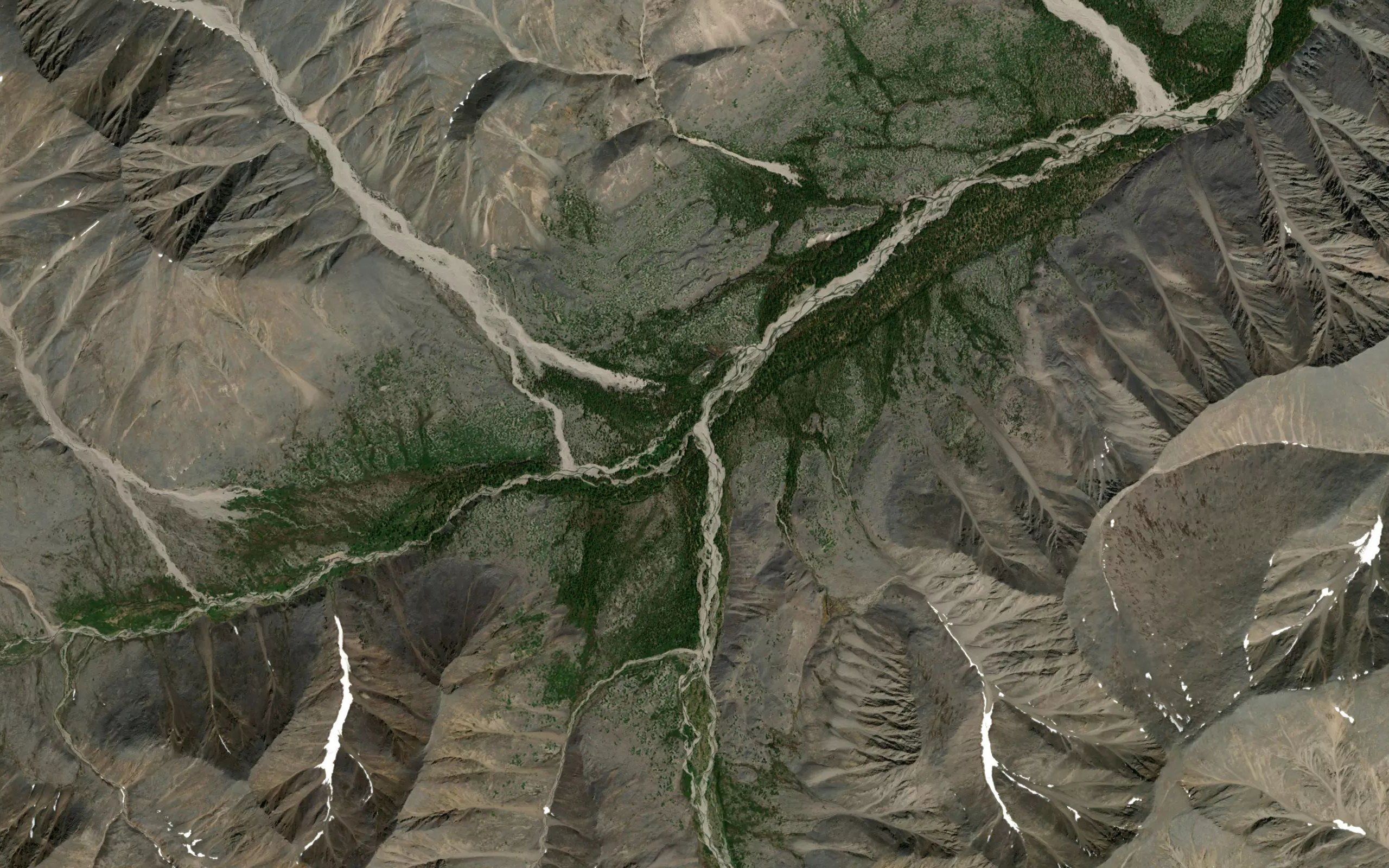 Mokhovoy