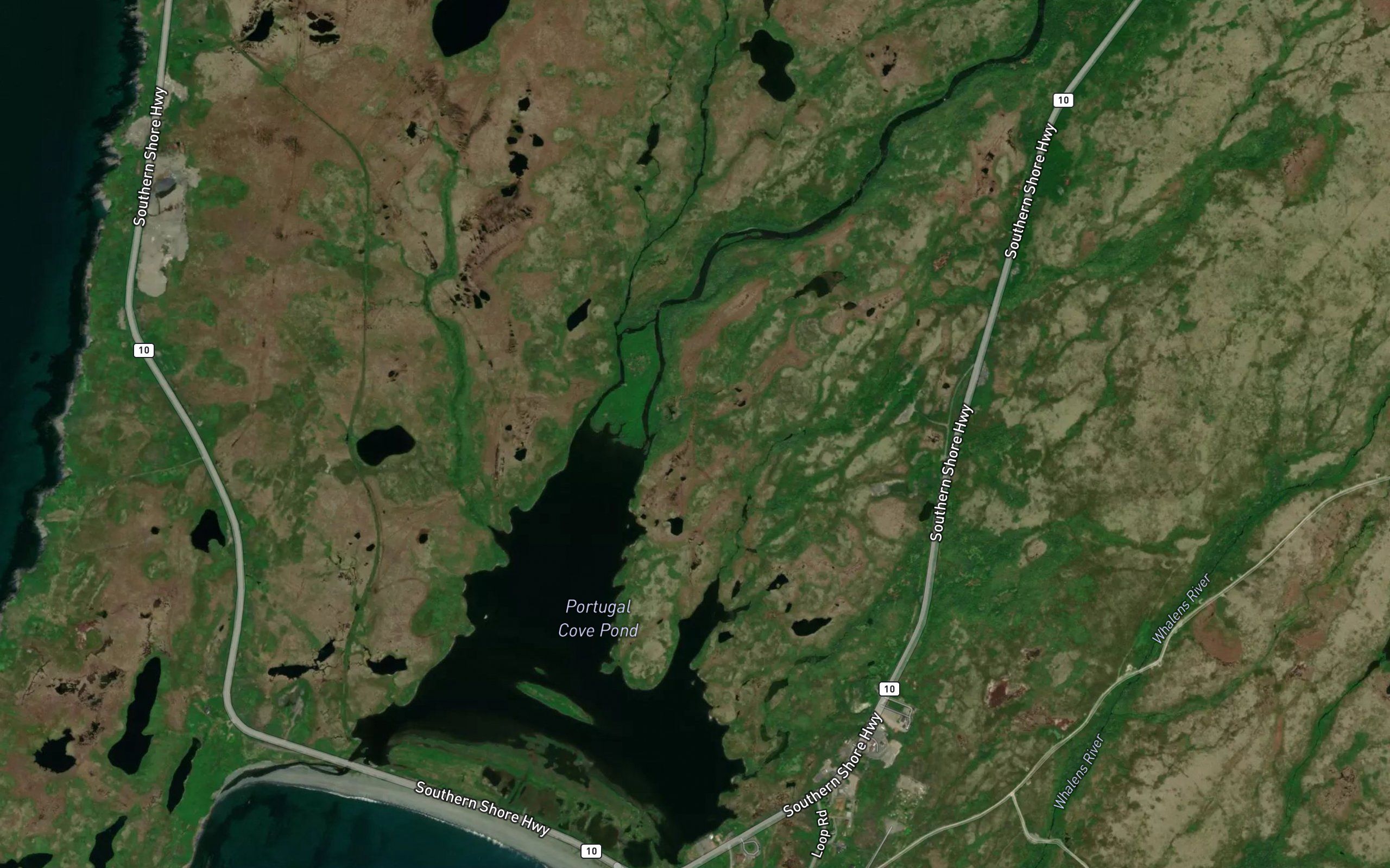 Portugal Cove Brook