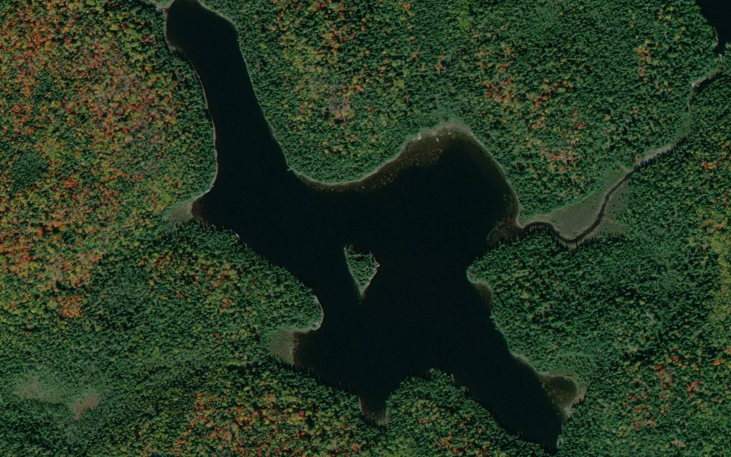 Bullfrog Lake