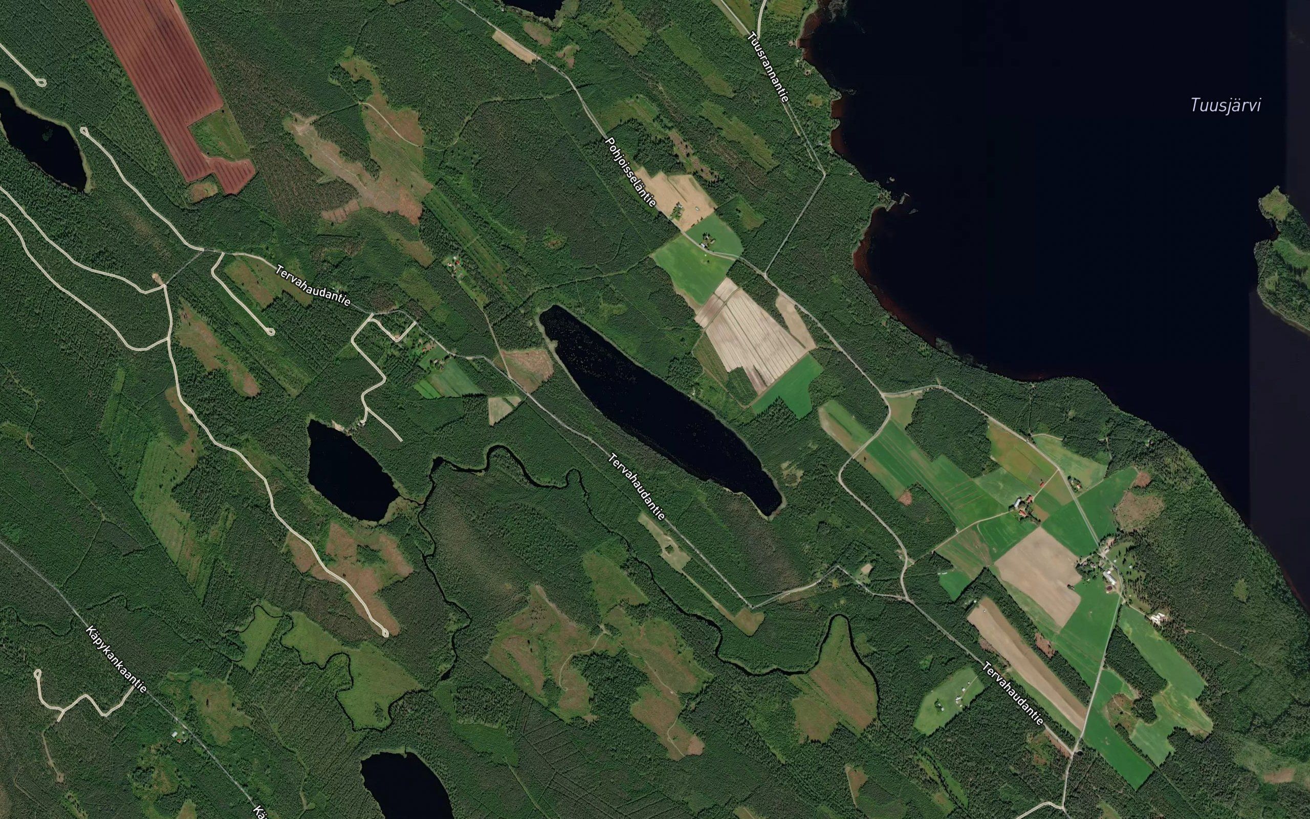 Aimasenlampi