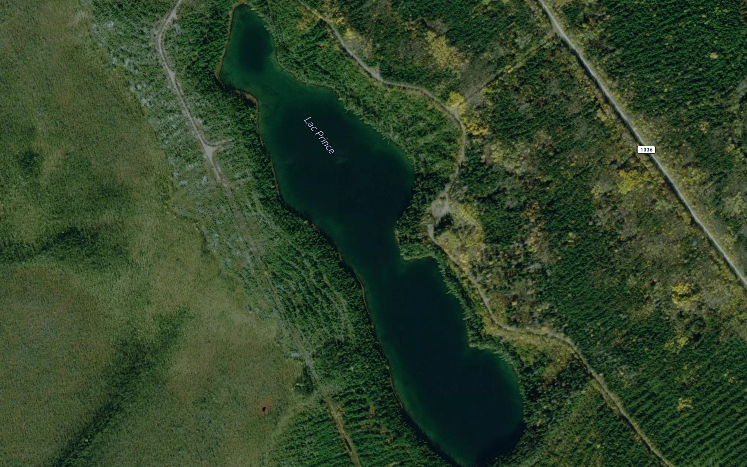 Lac Prince