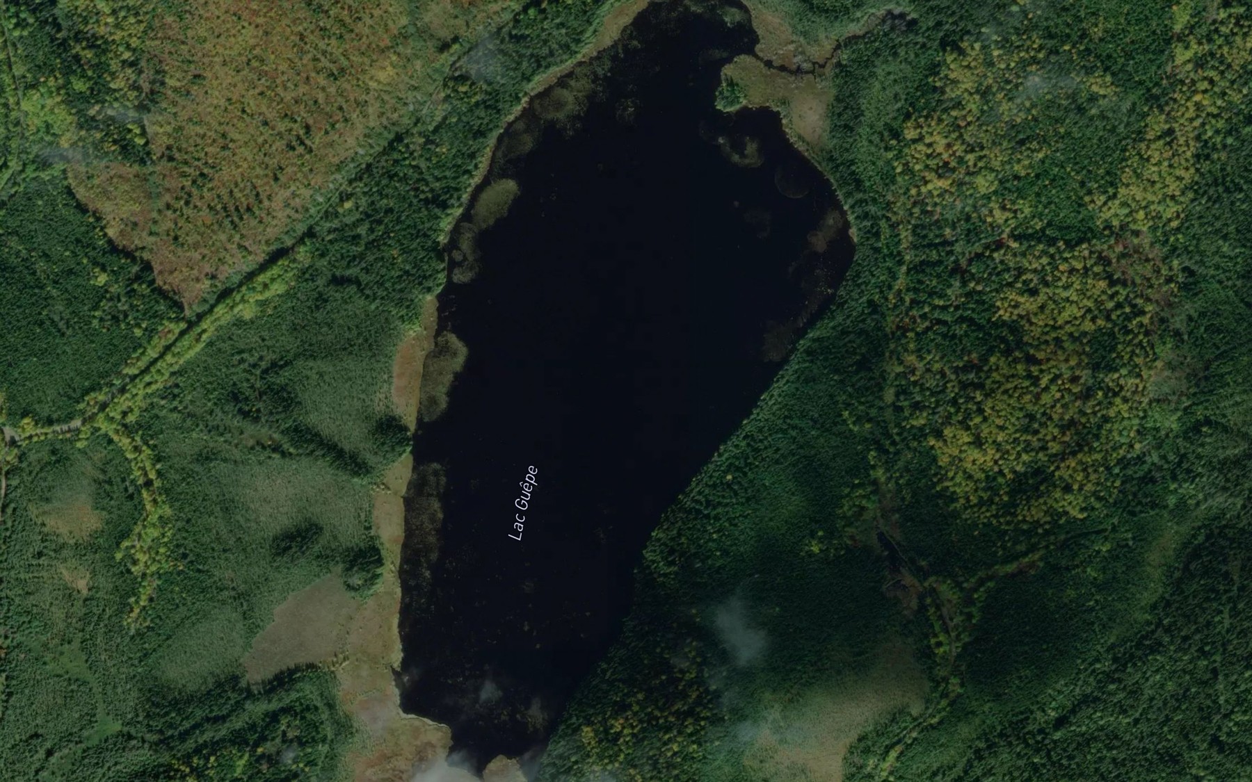 Satellite map of the Lac Guepe