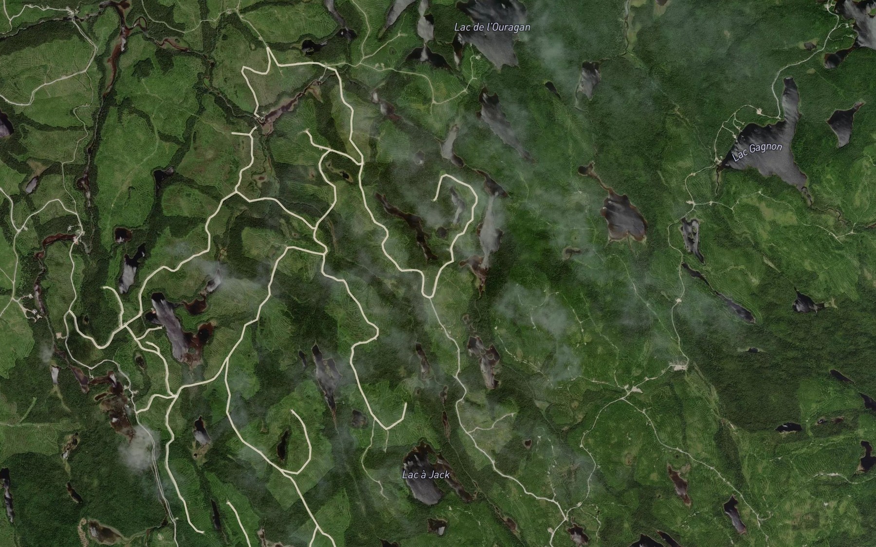 Satellite map of the Lac des Ronces