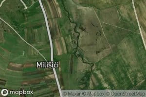 Borcilovac