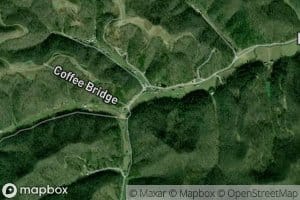 Coffee Branch