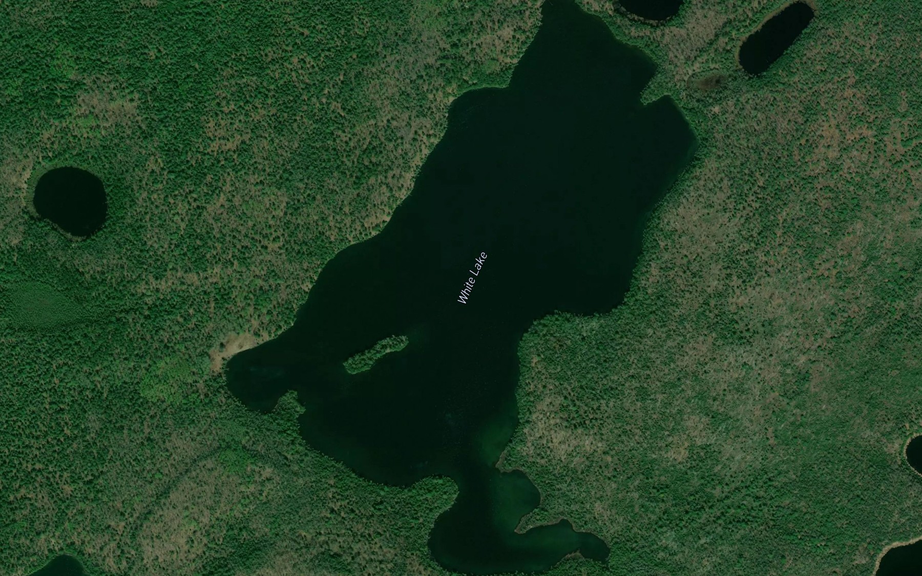 Satellite map of the White Lake