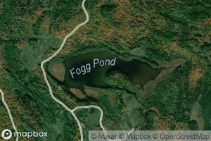 Fogg Pond