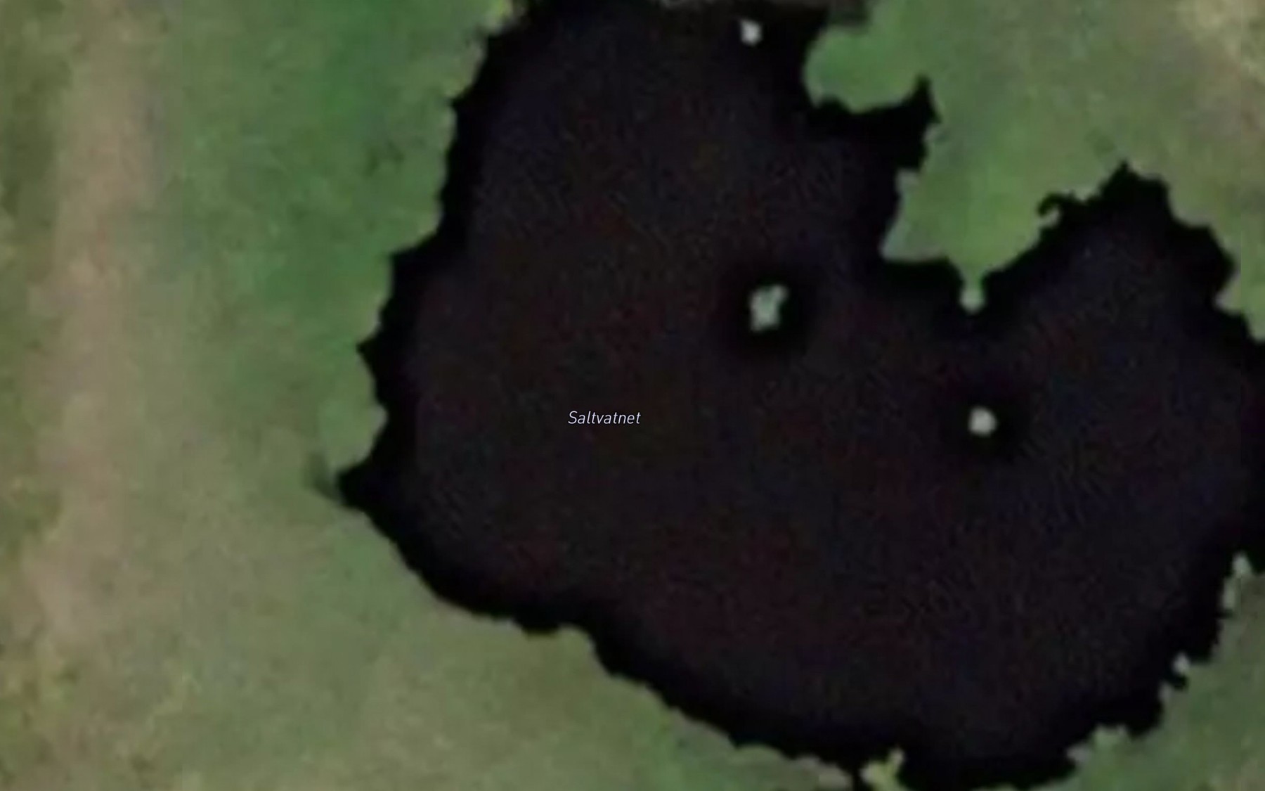 Satellite map of the Saltvatnet